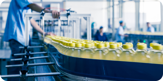 Liquid bottles on a conveyor belt